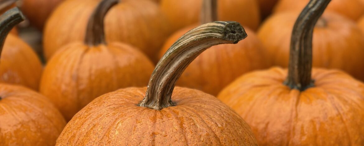 Screenshot 2025-09-21 at 5.31.39 PM