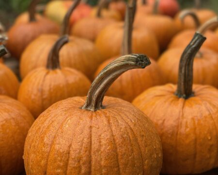 Screenshot 2025-09-21 at 5.31.39 PM