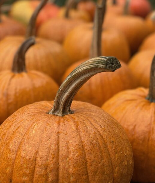 Screenshot 2025-09-21 at 5.31.39 PM Screenshot 2025-09-21 at 5.31.39 PM