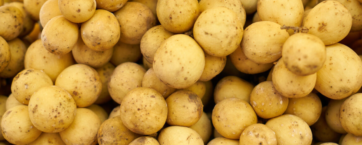 Yellow Potatoes Yellow Potatoes