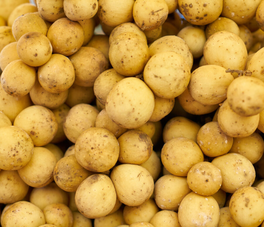 Yellow Potatoes Yellow Potatoes