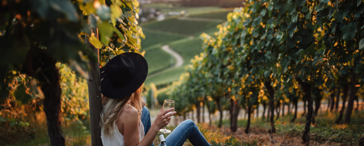 young-blonde-woman-relaxing-vineyards-summer-season-with-bottle-wine young-blonde-woman-relaxing-vineyards-summer-season-with-bottle-wine