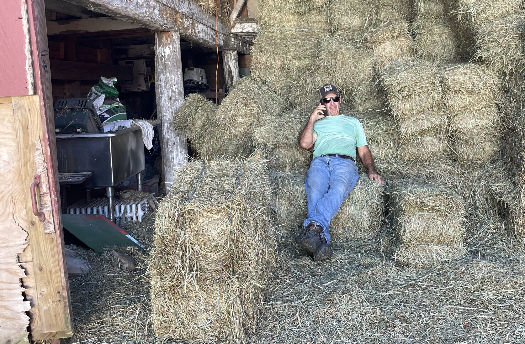 ken sitting on hay
